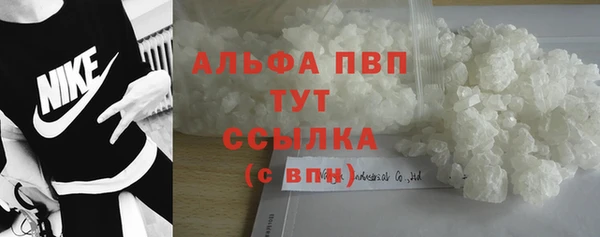 молекула духа Ладушкин