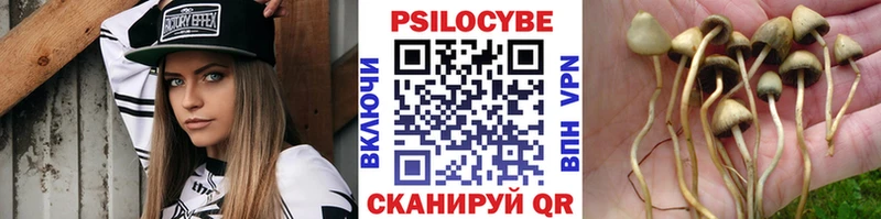 Галлюциногенные грибы Cubensis  цена наркотик  MEGA вход  Глазов 