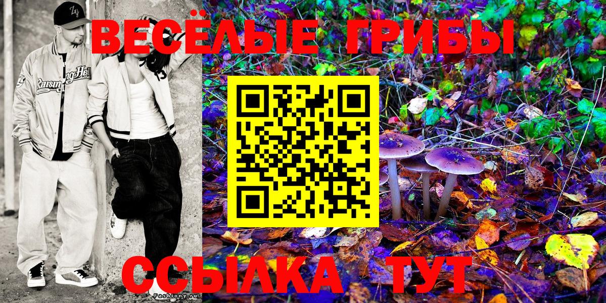 Галлюциногенные грибы Cubensis  Вход с VPN  Глазов 