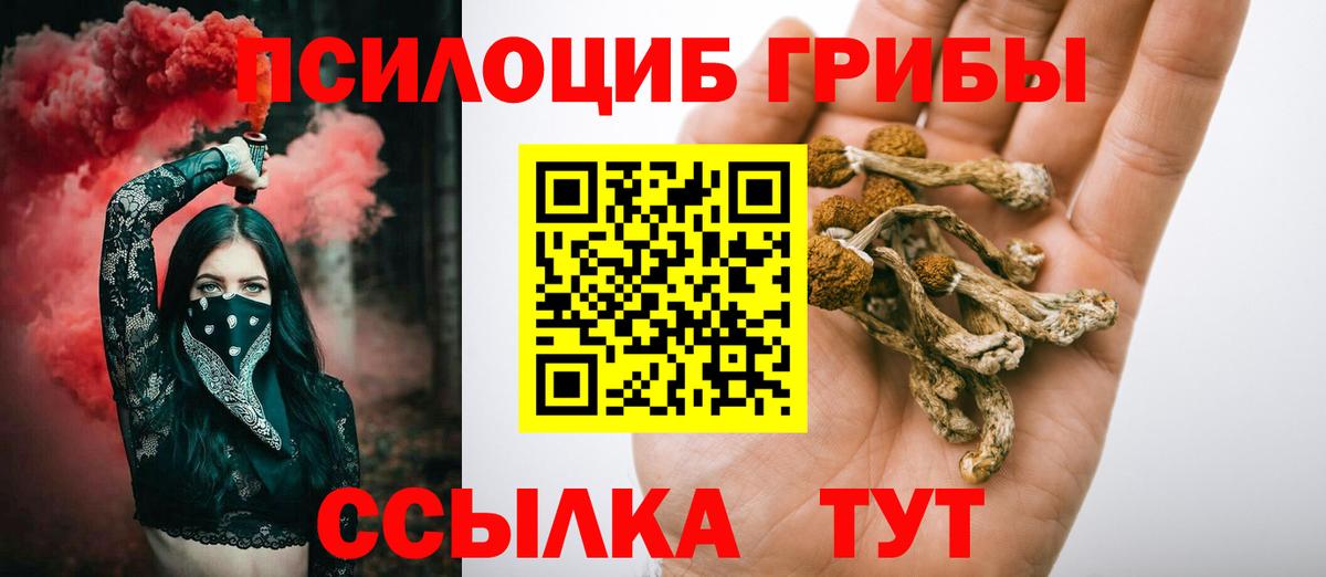 Галлюциногенные грибы Cubensis Глазов